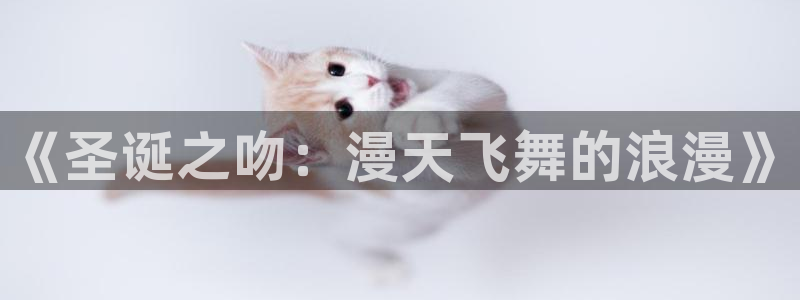 酷漫屋下拉式(免费漫画)官方网：《圣诞之吻：漫天飞舞的浪漫》